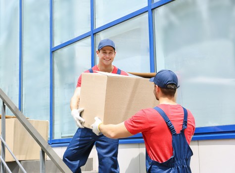 Illustration representing essential cookies and website functionality for Removals Tofrance