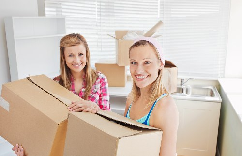 Van used for furniture delivery and small removals in Tofrance