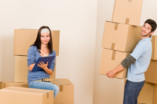 Household items being carefully packed and transported for a Tofrance move