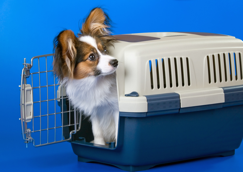 Efficient Strategies for Storing an Unused Freezer